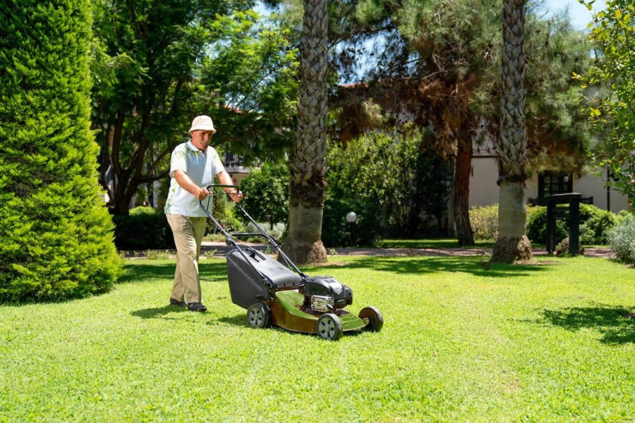 lawn mower for a small yard