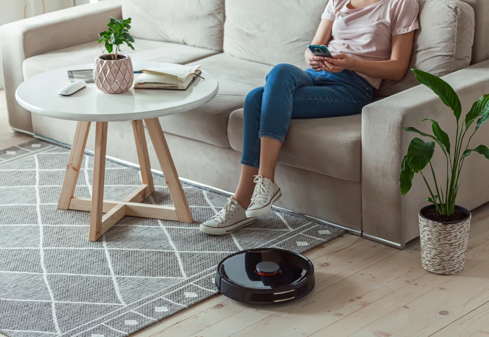 robot vacuum cleaner with smart mapping system